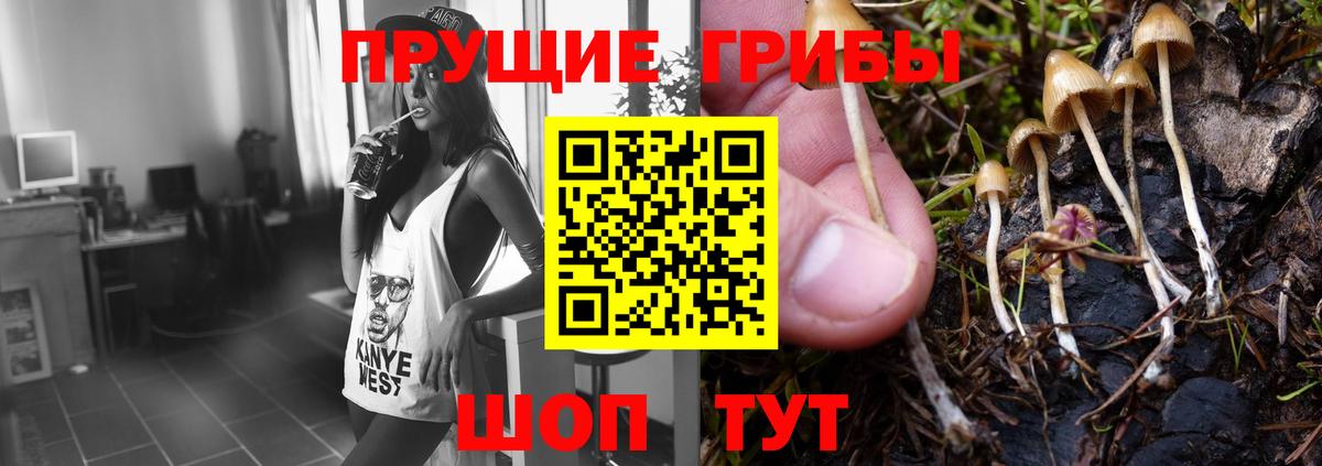 Кандалакша  Галлюциногенные грибы мухоморы  Вход с VPN  Галлюциногенные грибы ЛСД 